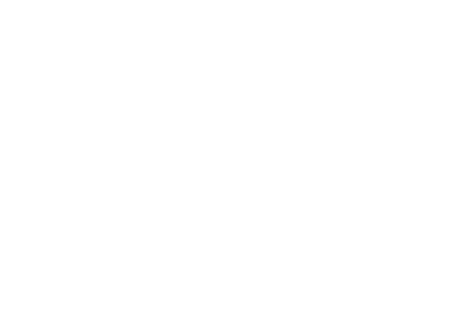 Carvalho Soluções Industriais